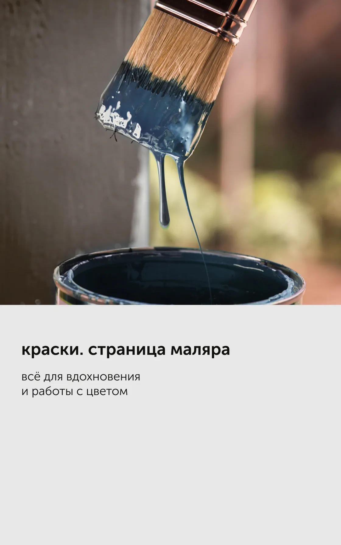 kraski i pokrytiya