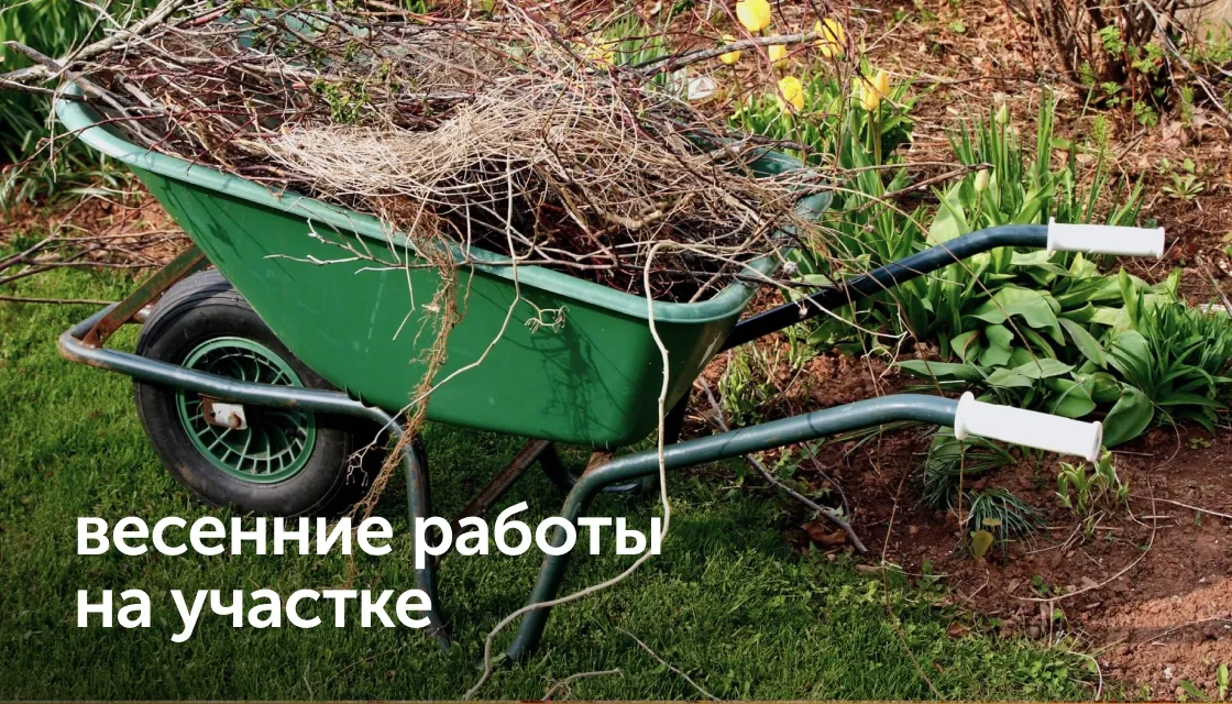 vesennie raboti